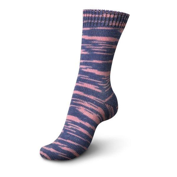 01180 Regenbogenforelle color