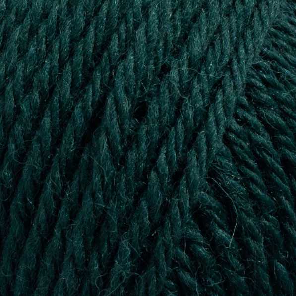 Raggi 100g 15172 Forest green