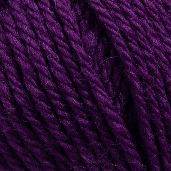 Raggi 100g 15179 Deep plum