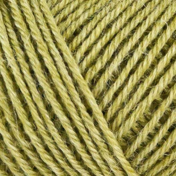Onion Nettle Sock Yarn 1030