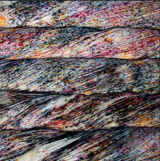 Malabrigo Sock 731 Baco