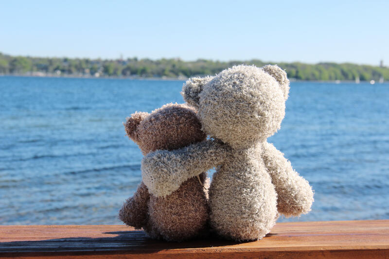 99527 Teddy Friends - 2 Sizes