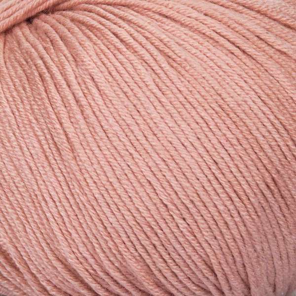 Mayflower Alliance Fine