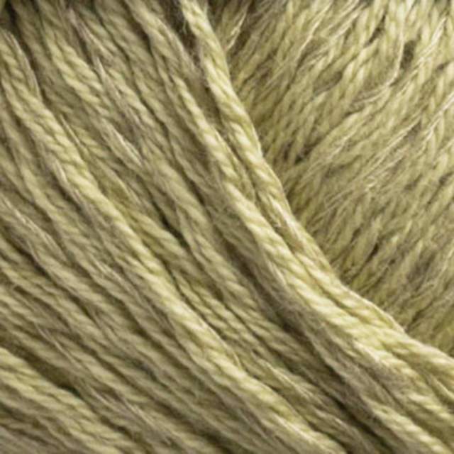 Svarta Fåret Cecilia