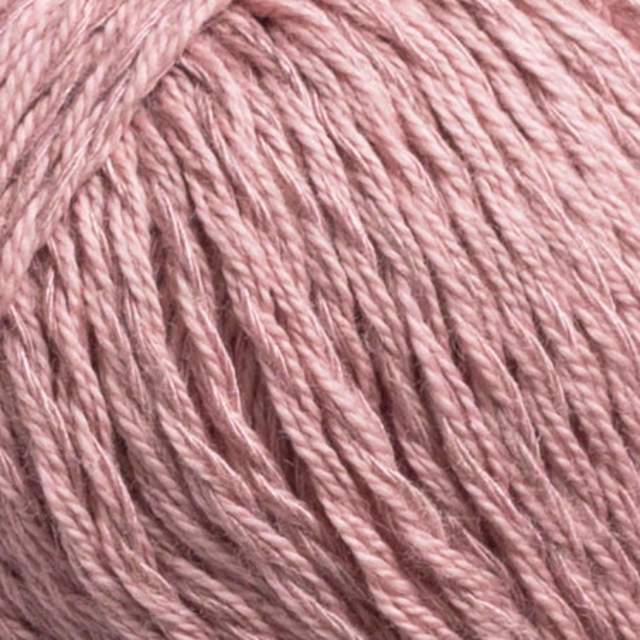 Svarta Fåret Cecilia