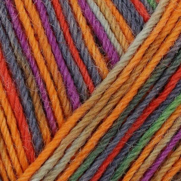 Regia 4-ply Setesdal Color