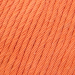 YAC Epic 8/8 018 Bronze