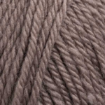 Raggi 100g 15117 Morel brown