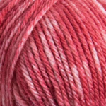 Raggi 100g 15205 Rose hip melange