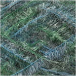 Rico Creative Bubble Print