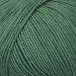 Mayflower Alliance Fine